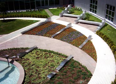 Green Roof
